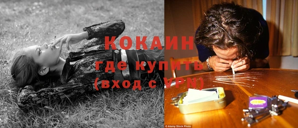 прущие крисы Коряжма